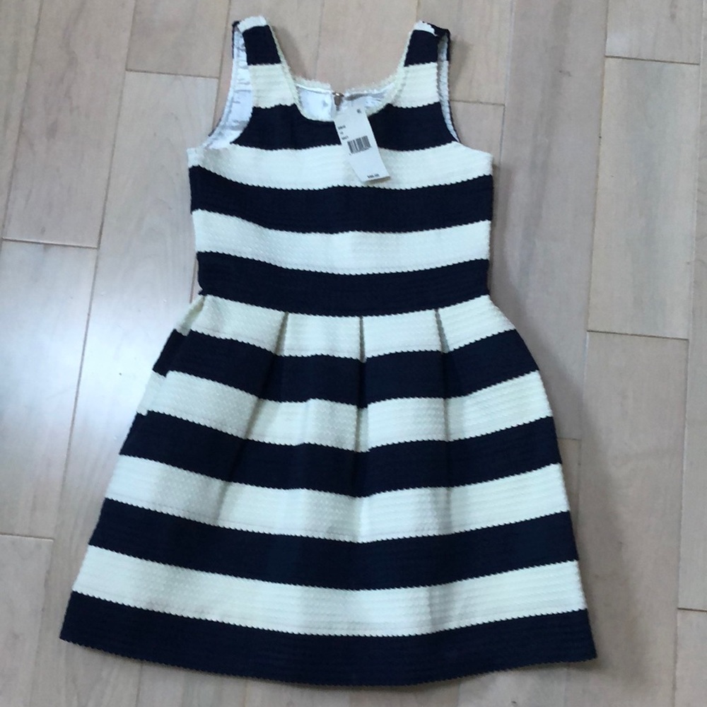 Elisa B navy white party dress 10